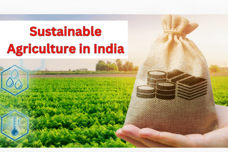 sustainable agriculture